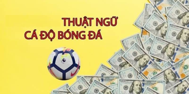 Tổng Hợp Các Thuật Ngữ Cá Độ Bóng Đá Phổ Biến Tại Jun88 2 Khái niệm về thuật ngữ cá độ bóng đá Jun88